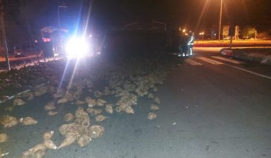 Afşin’de Pancar Yüklü Traktör Devrildi 