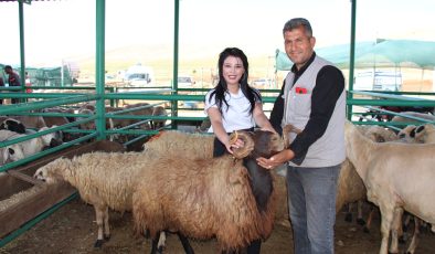 Afşin Hayvan Pazarı’nda Emek, Saygı ve Hoşgörü Hakimdi