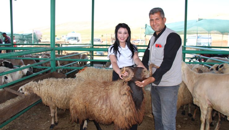 Afşin Hayvan Pazarı’nda Emek, Saygı ve Hoşgörü Hakimdi