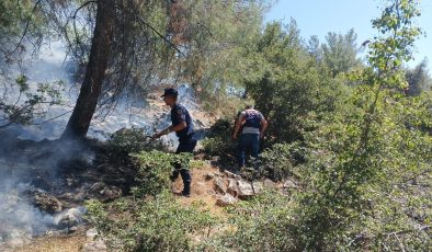 Orman Yangını Jandarma ve Orman Ekiplerinin Müdahalesiyle Söndürüldü
