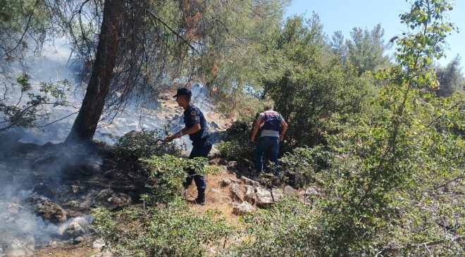 Orman Yangını Jandarma ve Orman Ekiplerinin Müdahalesiyle Söndürüldü