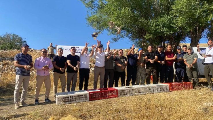 Afşin’de Doğaya Keklik Salımı Gerçekleştirildi