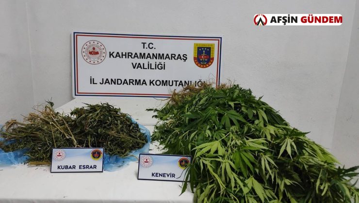Afşin’de Zehir Operasyonu, 113 Kök Kenevir ve Kubar Esrar Ele Geçti