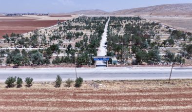 Afşin Mezarlığı ve Bağlı Yollarında Çalışma