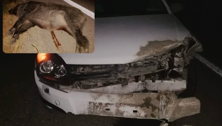 Afşin Göksun Karayolunda Domuz Kazaya Neden Oldu