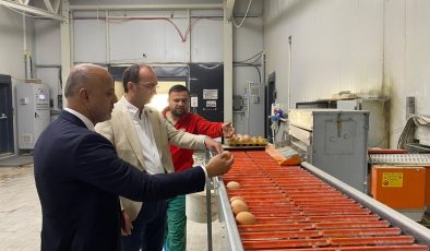 Kaymakam Sarıdoğan ve Başkan Kıraç’tan Yerel Üreticiye Destek Ziyareti