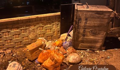 Çöp Konteyneri mi, Ortak Sorumluluğumuz mu?