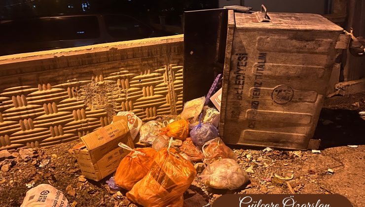 Çöp Konteyneri mi, Ortak Sorumluluğumuz mu?