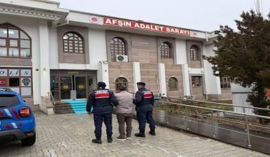 Jandarmadan Büyük Operasyon, 305 Yakalama, 31 Tutuklama