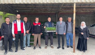 Afşin’de 30 Bin Maraş Biberi Fidesi Toprakla Buluştu!