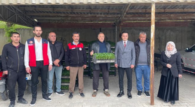 Afşin’de 30 Bin Maraş Biberi Fidesi Toprakla Buluştu!