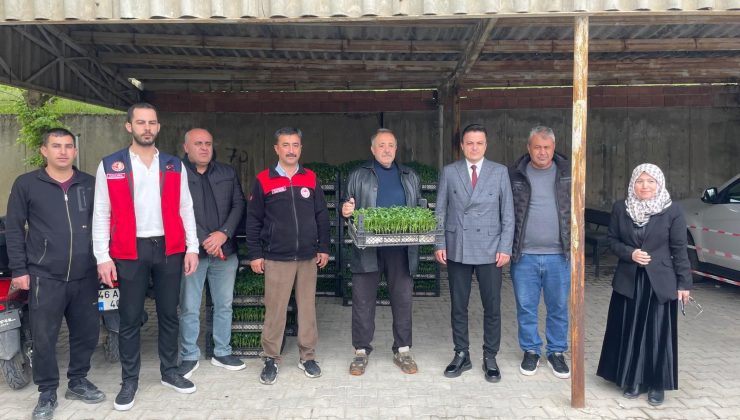 Afşin’de 30 Bin Maraş Biberi Fidesi Toprakla Buluştu!