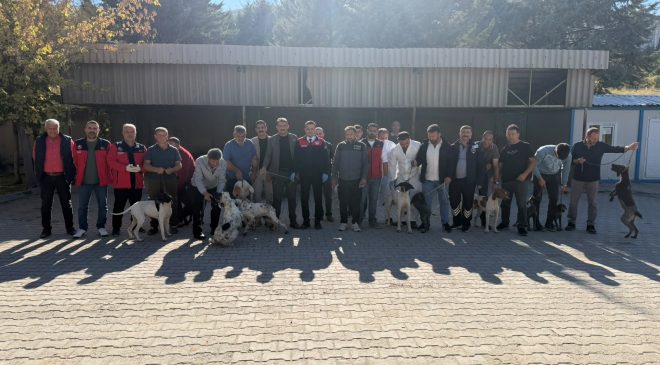 Afşin’de Kuduzla Mücadele İçin Toplu Aşılama ve Mikroçip Uygulaması